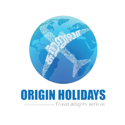originholidaysindia.in
