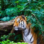 New Project - 2024-11-28T073611.157