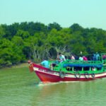 New Project - 2024-11-28T075012.588