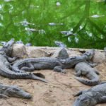 New Project - 2024-11-28T081930.360