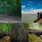 New Project - 2024-11-28T082151.920