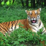 New Project - 2024-11-28T083528.911