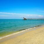 1707216919_6d190ec39150eb17120a