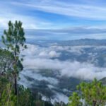 New Project - 2024-11-28T152123.026