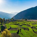 New Project - 2024-11-28T154716.252