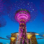 New Project - 2024-11-28T160859.913