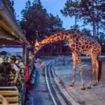 New Project - 2024-11-28T161150.584