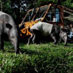 New Project - 2024-11-28T161421.750