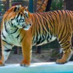 New Project - 2024-11-28T180738.175