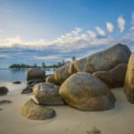 New Project - 2024-11-28T194714.636